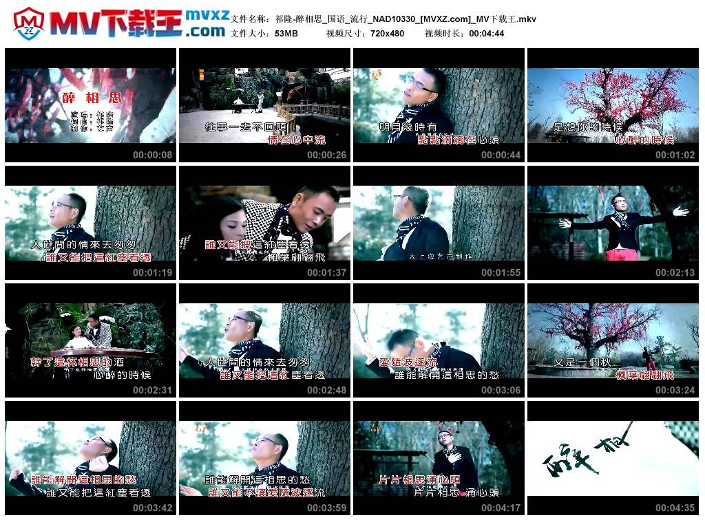 祁隆-醉相思_国语_流行_NAD10330